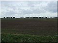 Flat farmland west of North Forty Foot Bank