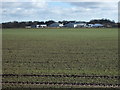 Crop field towards Clay Pit Farm