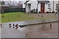 NN5732 : Nice weather for ducks, Killin by Jim Barton