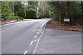 Callow Hill looking across the junction with Hollow Lane