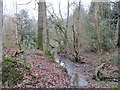 Pond, Chorley Covert