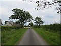 NY4539 : Straight road, wide verges by Richard Webb