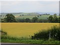 Arable land, Calthwaite