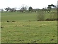 Gas pipeline marker by a stream, south of Moor Hill