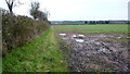 Footpath east from Abbots Morton