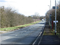 SE3538 : Skeltons Lane - Coal Road by Betty Longbottom