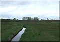 Grazing and drain near Yatton