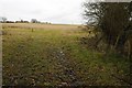 Farmland by West Lodge Farm