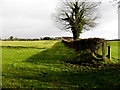 Dernalebe Townland