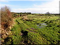 Elagh Townland