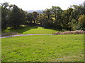 Path, Town Moor, Narberth