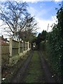 Newcastle-under-Lyme: lane behind houses on The Avenue