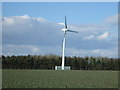 Wind turbine and woodland