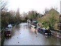 The River Lea (or Lee) west of the bridge at Amwell End, SG12