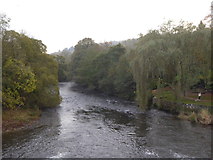 SS9307 : The River Exe downstream from Bickleigh Bridge by Rod Allday