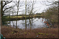 Duck pond by the Manor Farm pub