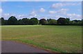 Alexandra Recreation Ground, King Charles Road, Tolworth