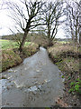 Rainford Brook near Brook Wood