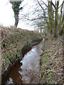 Windle Brook near Watery Lane Farm