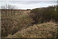 Brook near Sharnbrook Cottage