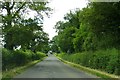 Rural road to Marsh Gibbon