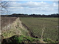 Field boundary near Spellowgate Farm