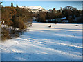 Airthrey Loch in Winter