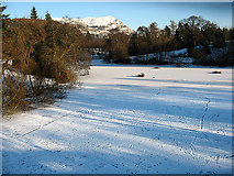 NS8096 : Airthrey Loch in Winter by William Starkey