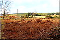 Scrubland near Knockman Wood