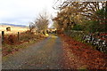 Track to Glenmalloch