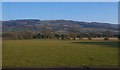 View from the train, north of Welshpool