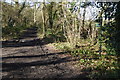 Byway going west at bridleway junction