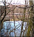 Mill pond at former Carrfield Mill