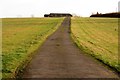 The road to Oving Hill Farm