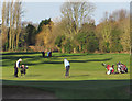 Golfers at Springhead Park, Hull