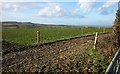 Farmland on Seaborough Hill