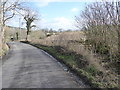 ST5107 : Lane between Corscombe and Lower Halstock Leigh by Maurice D Budden