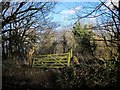 Gate, Liddon Hill Plantation