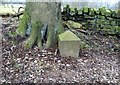 Boundary marker south of Cottage Lane