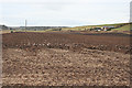 Ploughing at Birkenhills