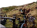 Hillside spring in Abergwynfi