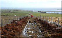 ND4696 : View from the trig point, Burray by Ian Balcombe