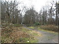 Entrance to Ludshott Common