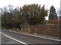 Wall by the Toll House, Grayswood