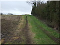 Farm track off Gringley Road