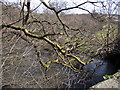 Looking up the Little Dart River from Dart Bridge