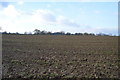 Ploughed field