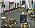 A little side street in Llandeilo