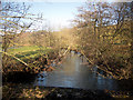 Looking down the Little Dart River from West Worlington Bridge