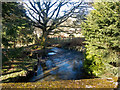 Looking down the Little Dart River from Bradford Bridge